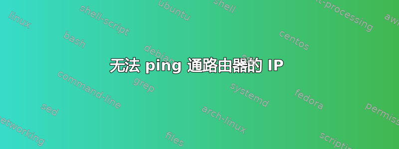 无法 ping 通路由器的 IP