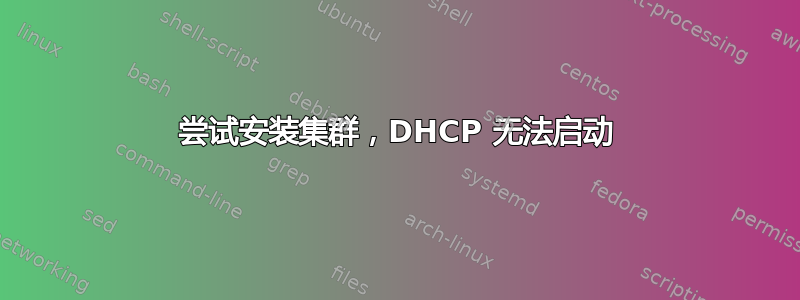 尝试安装集群，DHCP 无法启动