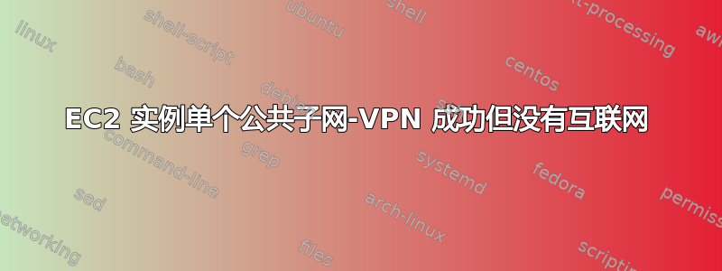 EC2 实例单个公共子网-VPN 成功但没有互联网