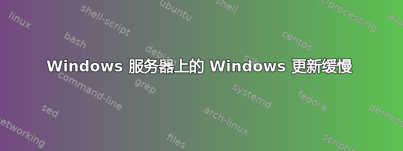 Windows 服务器上的 Windows 更新缓慢