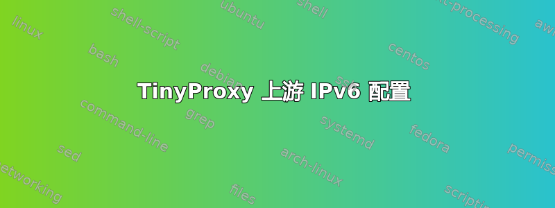 TinyProxy 上游 IPv6 配置