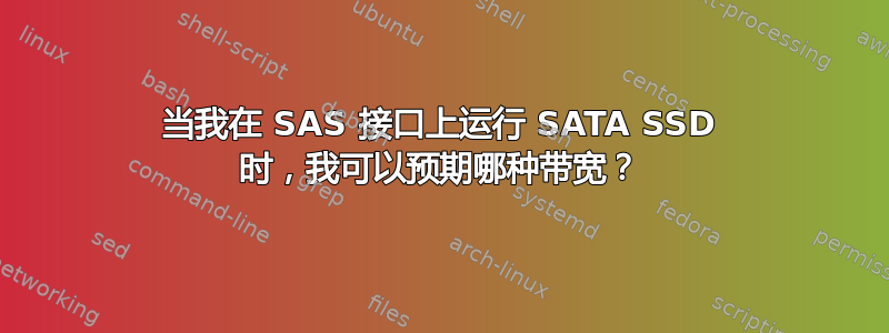 当我在 SAS 接口上运行 SATA SSD 时，我可以预期哪种带宽？