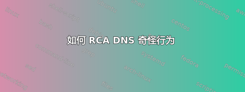 如何 RCA DNS 奇怪行为