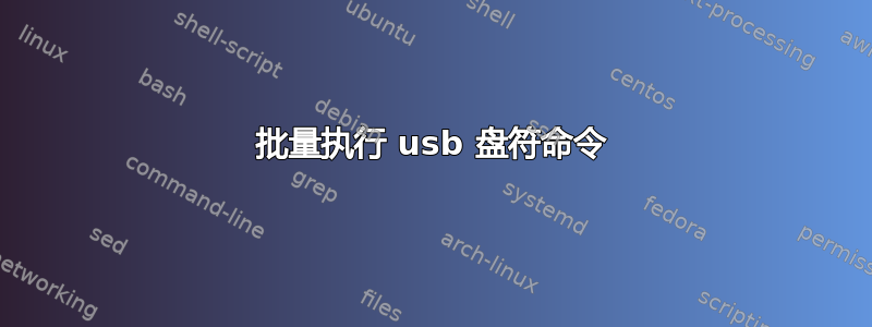 批量执行 usb 盘符命令