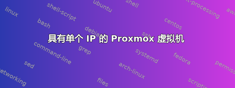 具有单个 IP 的 Proxmox 虚拟机