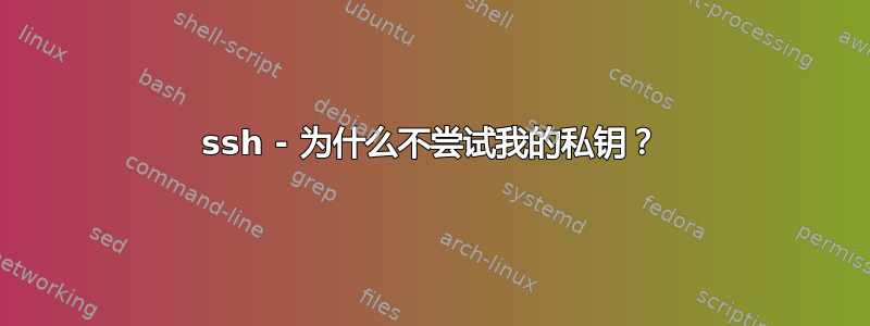 ssh - 为什么不尝试我的私钥？