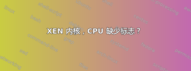 XEN 内核，CPU 缺少标志？