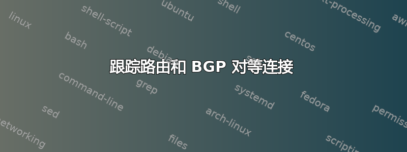 跟踪路由和 BGP 对等连接