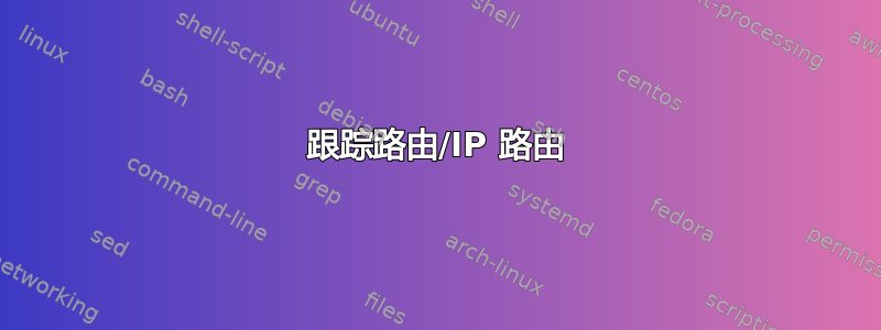 跟踪路由/IP 路由