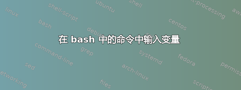 在 bash 中的命令中输入变量