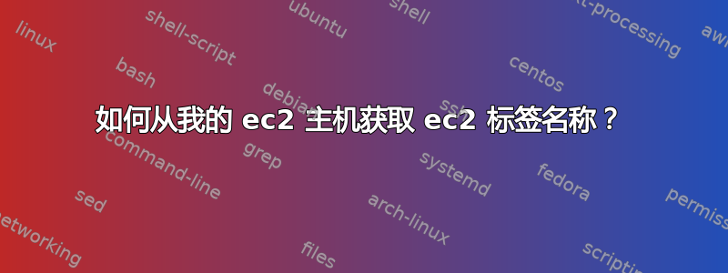 如何从我的 ec2 主机获取 ec2 标签名称？