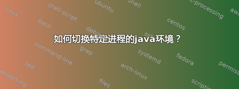 如何切换特定进程的java环境？