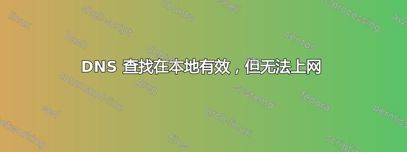 DNS 查找在本地有效，但无法上网