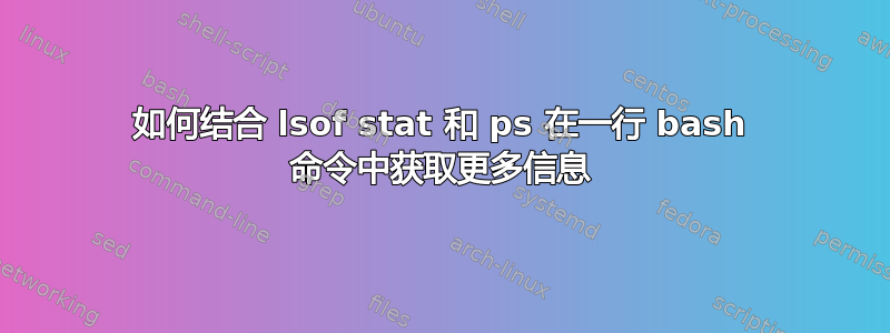 如何结合 lsof stat 和 ps 在一行 bash 命令中获取更多信息