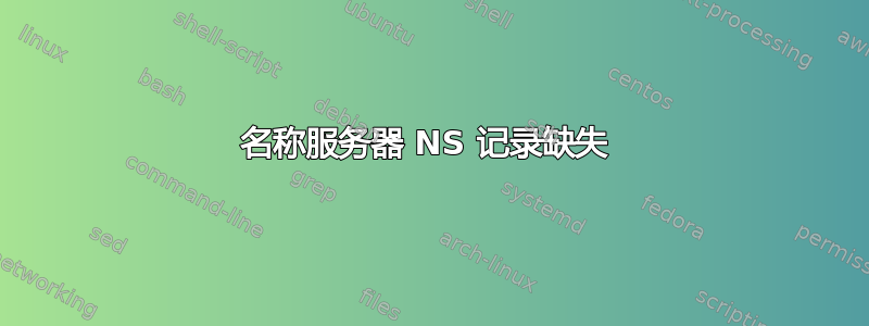 名称服务器 NS 记录缺失 