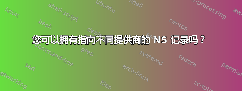 您可以拥有指向不同提供商的 NS 记录吗？