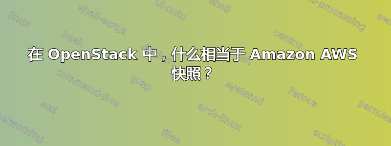 在 OpenStack 中，什么相当于 Amazon AWS 快照？