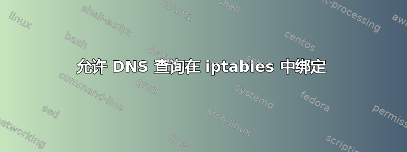 允许 DNS 查询在 iptables 中绑定