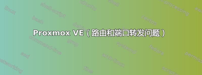 Proxmox VE（路由和端口转发问题）