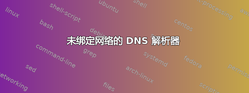 未绑定网络的 DNS 解析器