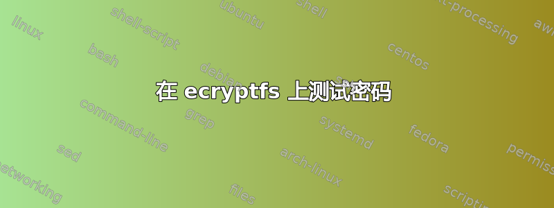 在 ecryptfs 上测试密码