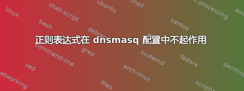 正则表达式在 dnsmasq 配置中不起作用