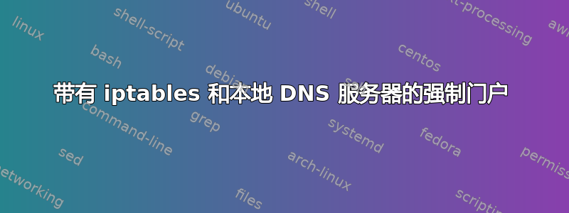 带有 iptables 和本地 DNS 服务器的强制门户