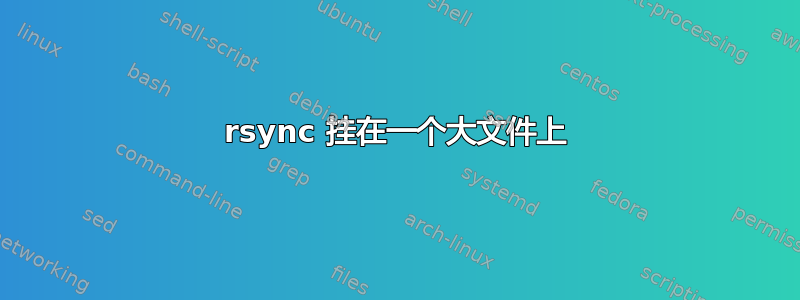 rsync 挂在一个大文件上