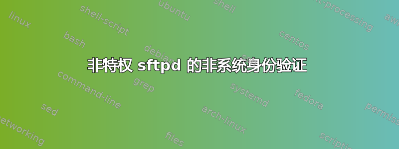 非特权 sftpd 的非系统身份验证