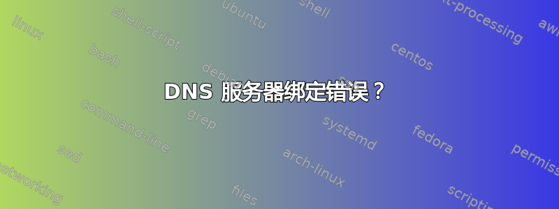 DNS 服务器绑定错误？