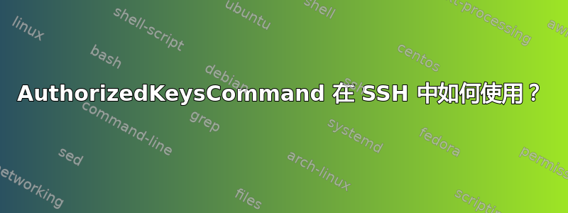 AuthorizedKeysCommand 在 SSH 中如何使用？