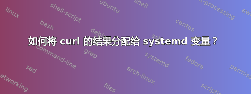 如何将 curl 的结果分配给 systemd 变量？