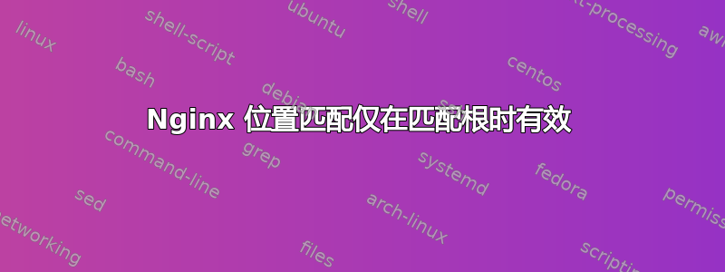 Nginx 位置匹配仅在匹配根时有效