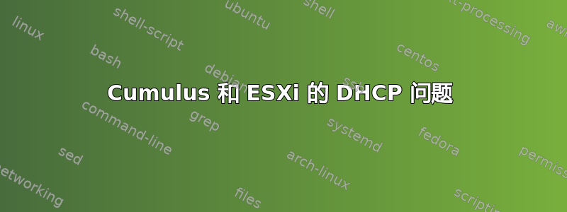 Cumulus 和 ESXi 的 DHCP 问题