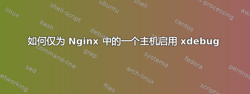 如何仅为 Nginx 中的一个主机启用 xdebug