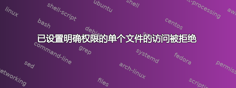 已设置明确权限的单个文件的访问被拒绝