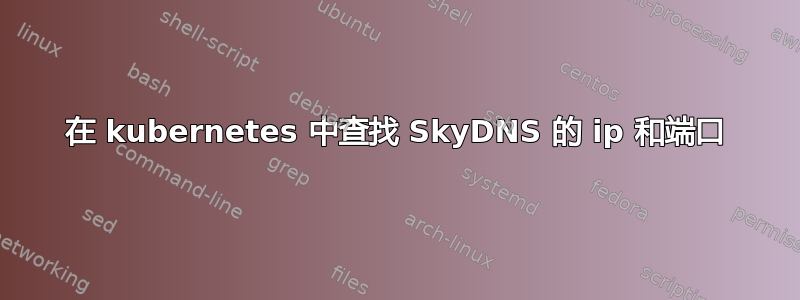 在 kubernetes 中查找 SkyDNS 的 ip 和端口