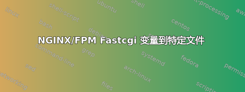 NGINX/FPM Fastcgi 变量到特定文件