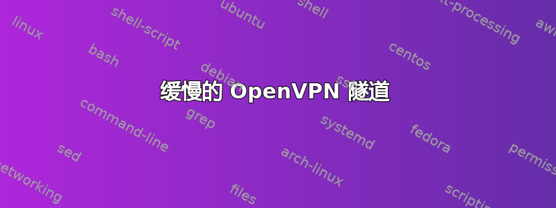 缓慢的 OpenVPN 隧道