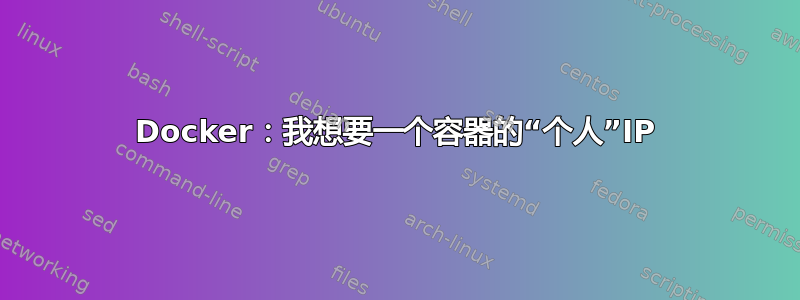 Docker：我想要一个容器的“个人”IP