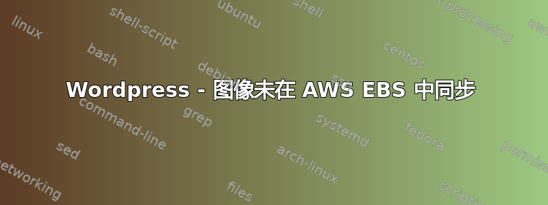 Wordpress - 图像未在 AWS EBS 中同步