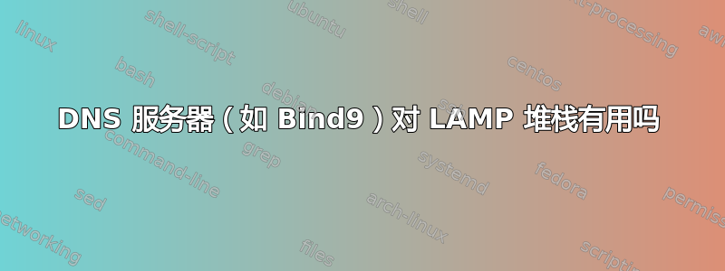 DNS 服务器（如 Bind9）对 LAMP 堆栈有用吗