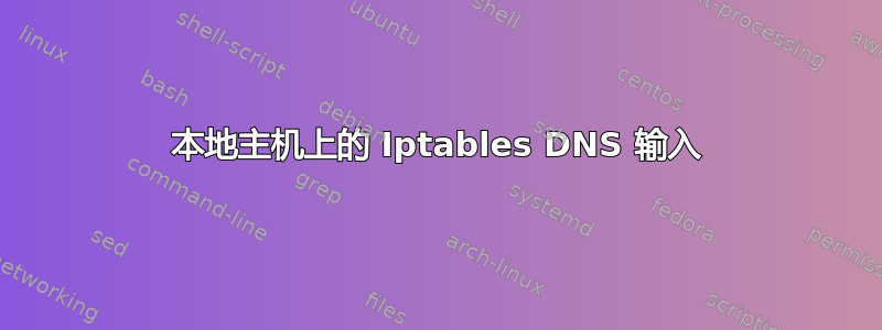 本地主机上的 Iptables DNS 输入