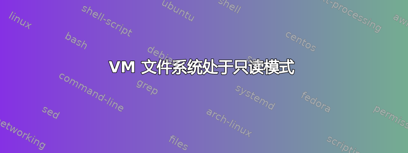 VM 文件系统处于只读模式