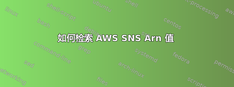 如何检索 AWS SNS Arn 值