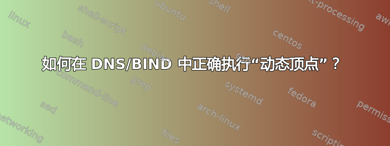 如何在 DNS/BIND 中正确执行“动态顶点”？