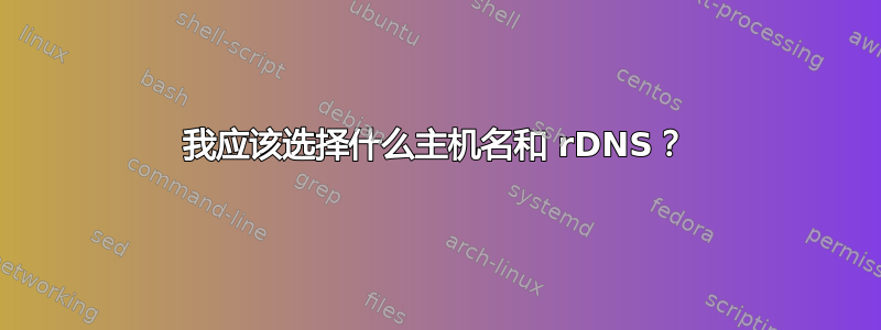 我应该选择什么主机名和 rDNS？