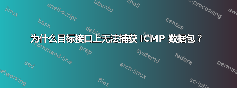 为什么目标接口上无法捕获 ICMP 数据包？