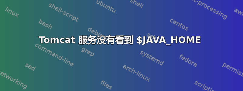 Tomcat 服务没有看到 $JAVA_HOME