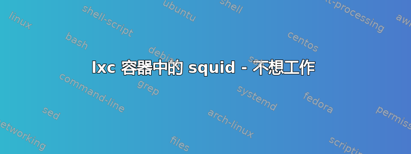 lxc 容器中的 squid - 不想工作